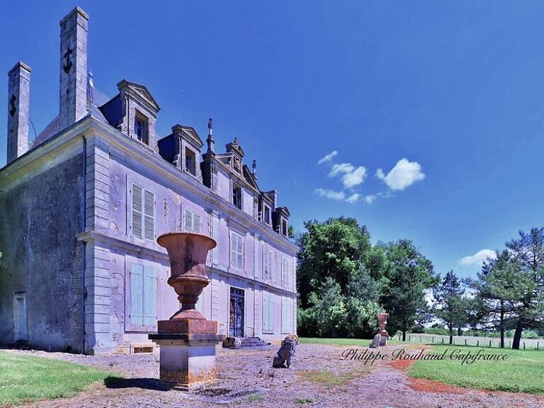 Château du XVIIᵉ siècle à vendre, 17 pièces, FOUSSAIS PAYRE (85) — photo 1