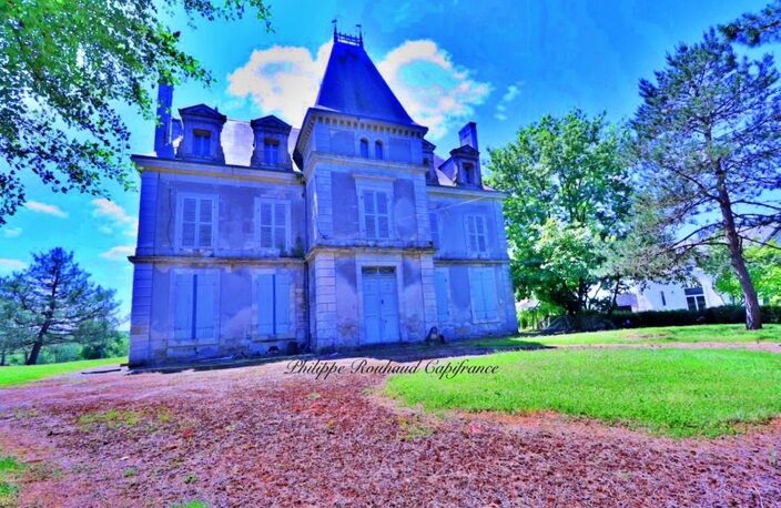 Château du XVIIᵉ siècle à vendre, 17 pièces, FOUSSAIS PAYRE (85) — photo 3