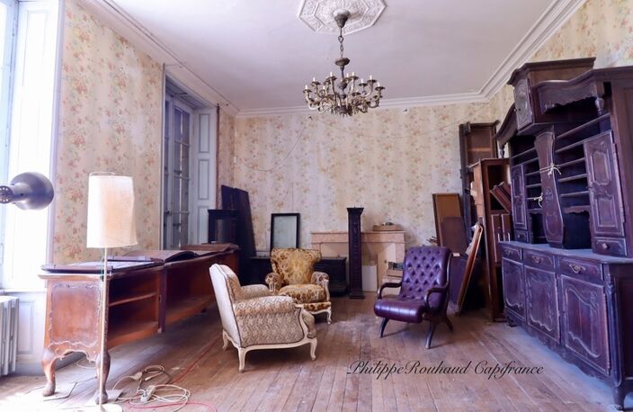 Château du XVIIᵉ siècle à vendre, 17 pièces, FOUSSAIS PAYRE (85) — photo 5