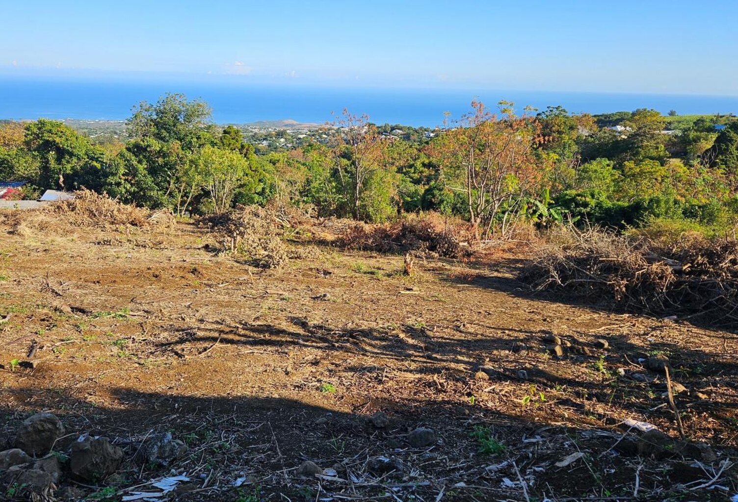 Terrain À Vendre — photo 1