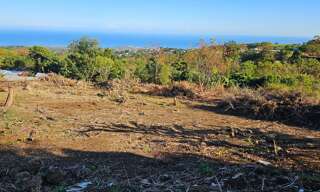 Terrain  524 m² à vendre à Saint-Paul (97435)