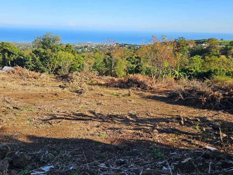 Terrain À Vendre — photo 1