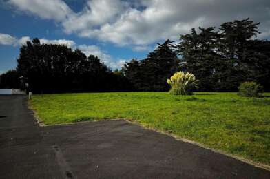 Terrain  375000 €