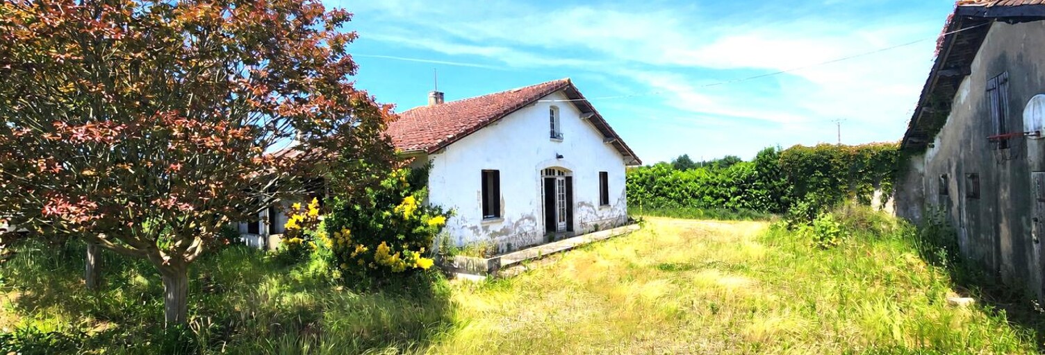 Photo N° 2