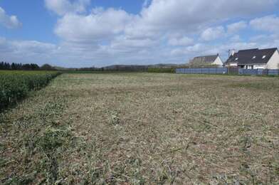 Terrain  65000 €