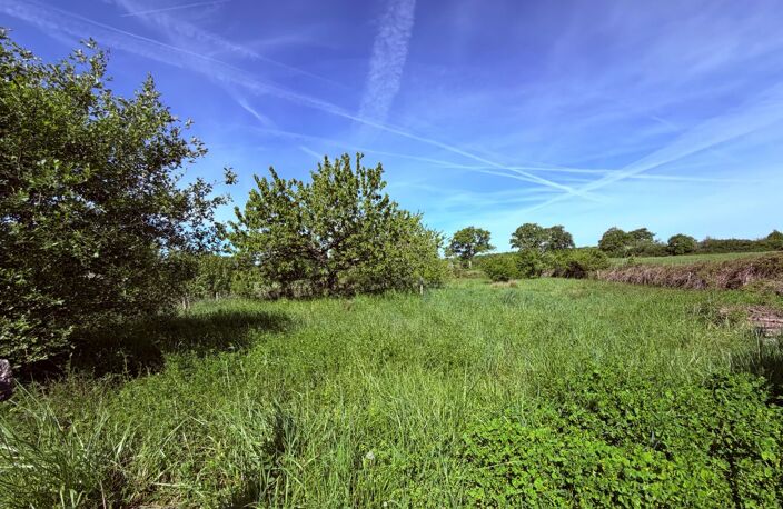 Grande villa charmante à vendre – Haute-Vienne 87 — photo 2