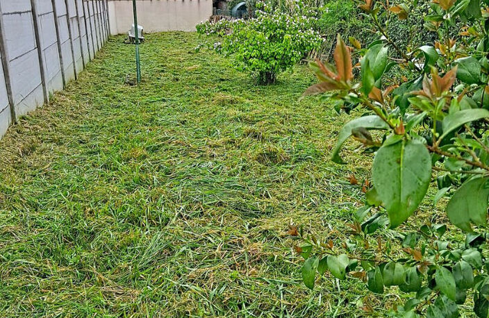 Maison  3 pièces, jardin — photo 4