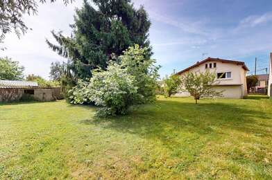 Terrain  493500 €