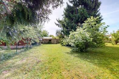 Terrain  493500 €