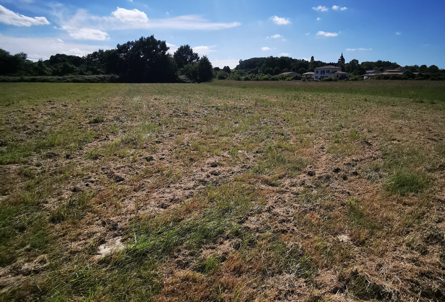 Terrain à bâtir de 3 744m2, non viabilisé, à Ladevèze-Rivièr — photo 1