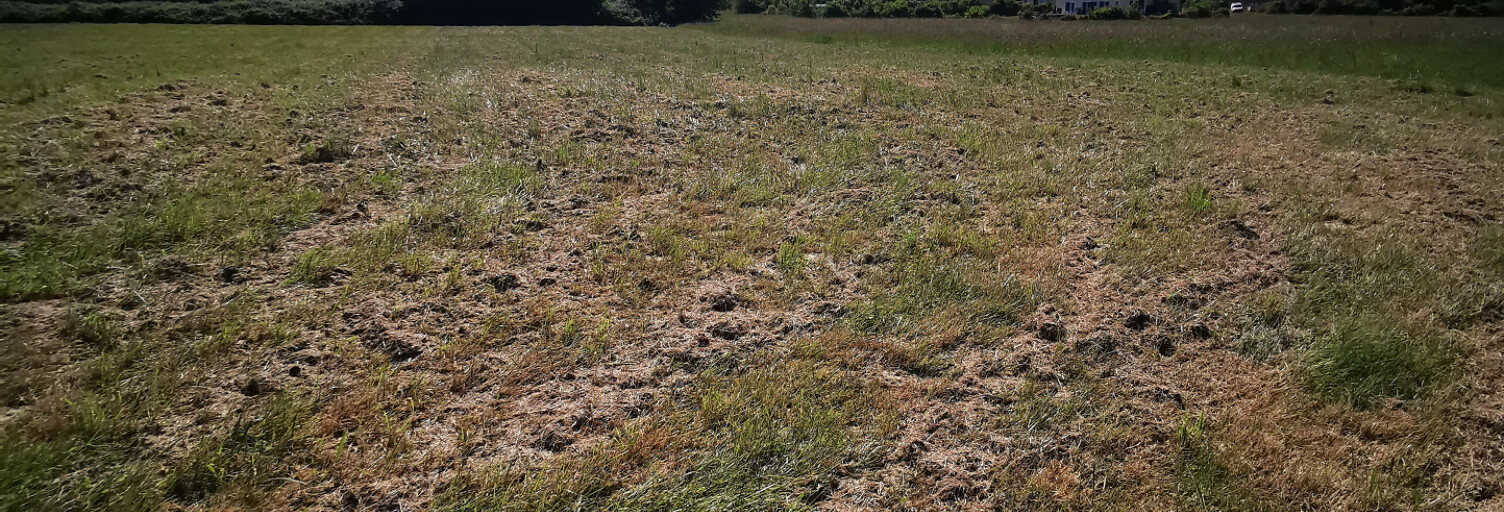 Terrain  3744 m² à vendre à Ladevèze-Rivière (32230)