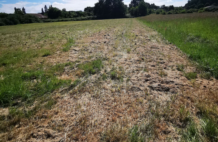 Terrain à bâtir de 3 744m2, non viabilisé, à Ladevèze-Rivièr — photo 2