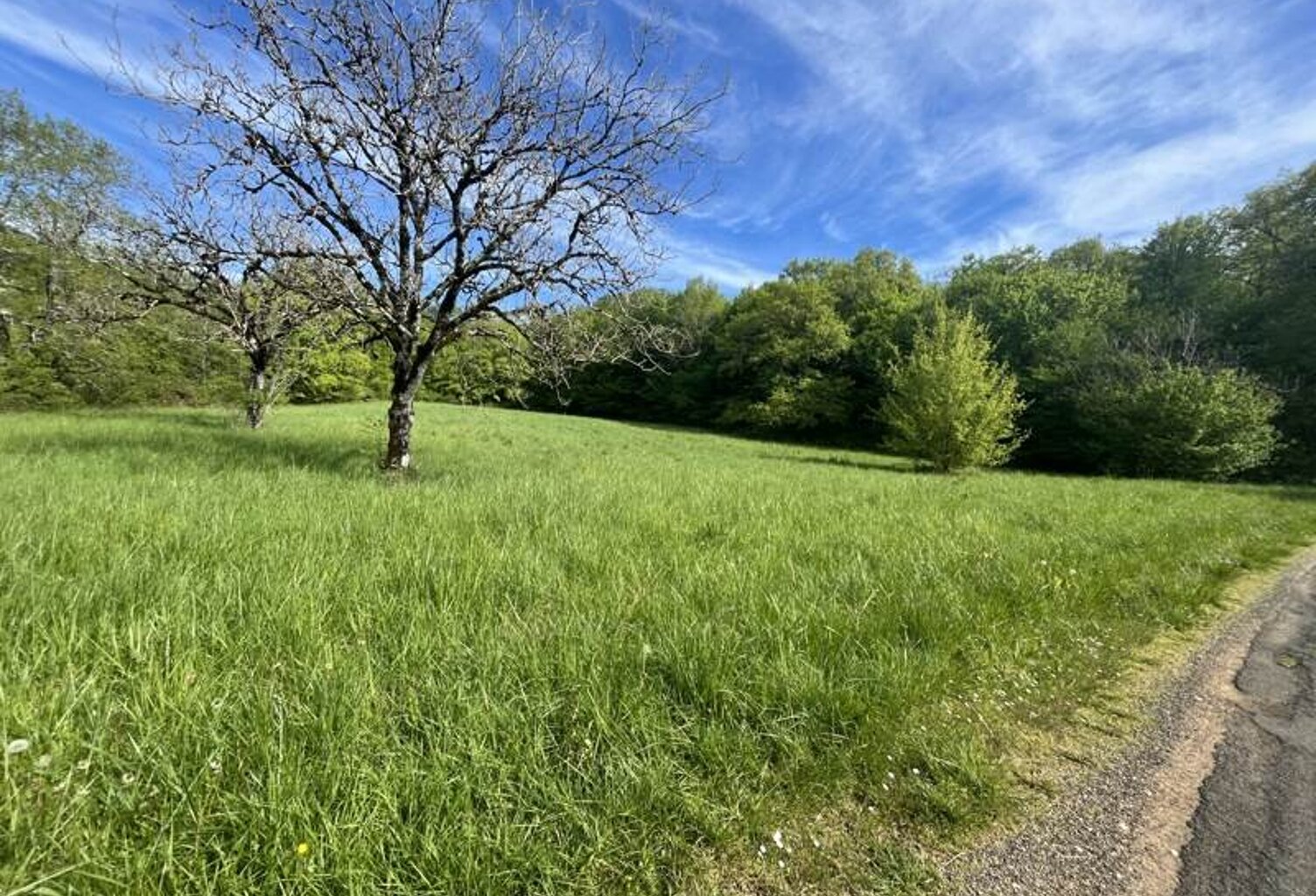 Terrain à bâtir de 0 pièces principales — photo 1