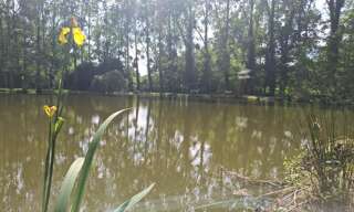 Terrain  7595 m² à vendre à Marcillé-Raoul (35560)