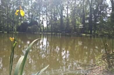 Terrain  35000 €