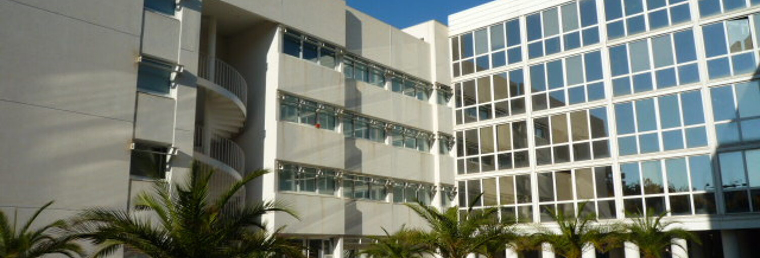 Appartement 1 Pièce 18 m² à louer à Montpellier (34000)