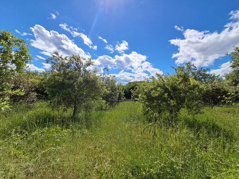 À VENDRE - TERRE AGRICOLE EN TRUFFIÈRE de 10 825 m2 - SECTEUR MOUSSAC — photo 1