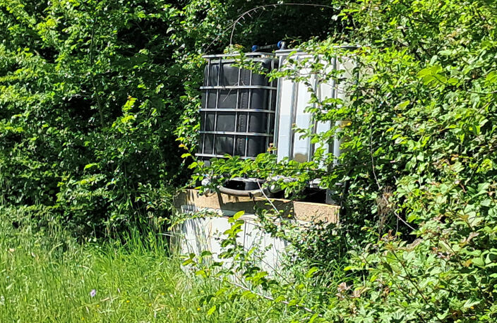 À VENDRE - TERRE AGRICOLE EN TRUFFIÈRE de 10 825 m2 - SECTEUR MOUSSAC — photo 2
