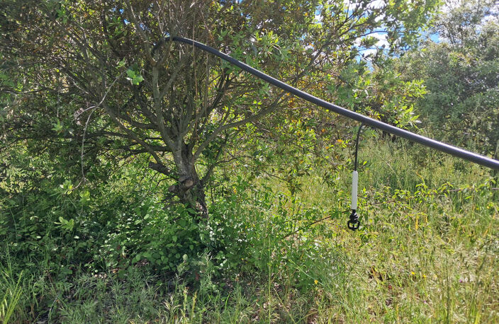 À VENDRE - TERRE AGRICOLE EN TRUFFIÈRE de 10 825 m2 - SECTEUR MOUSSAC — photo 5