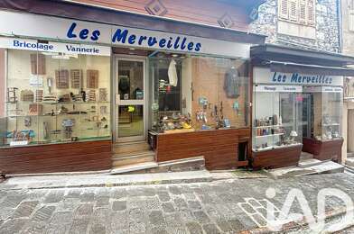 Commerce  69000 €