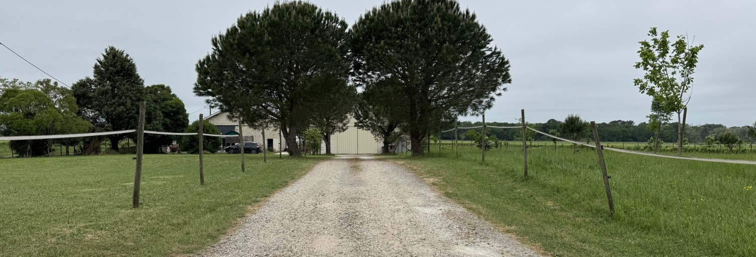 Maison 6 Pièces 96 m² à vendre à Saint-Sulpice-de-Pommiers (33540)