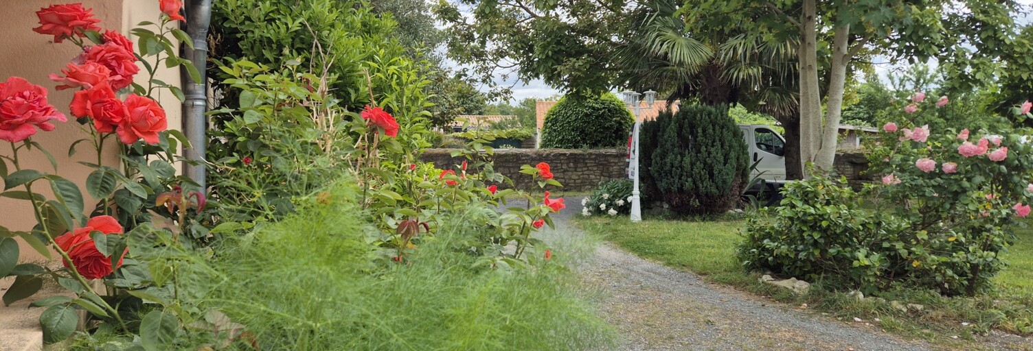 Photo N° 2