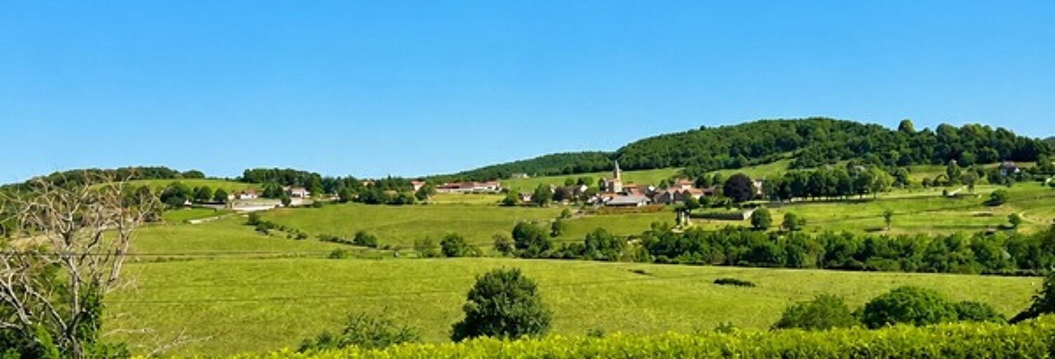 Photo N° 2