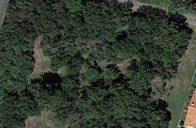 En exclusivité, terrain à vendre de 600,00 m² — photo du bien
