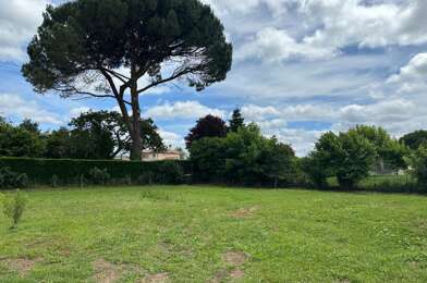 Terrain  185000 €
