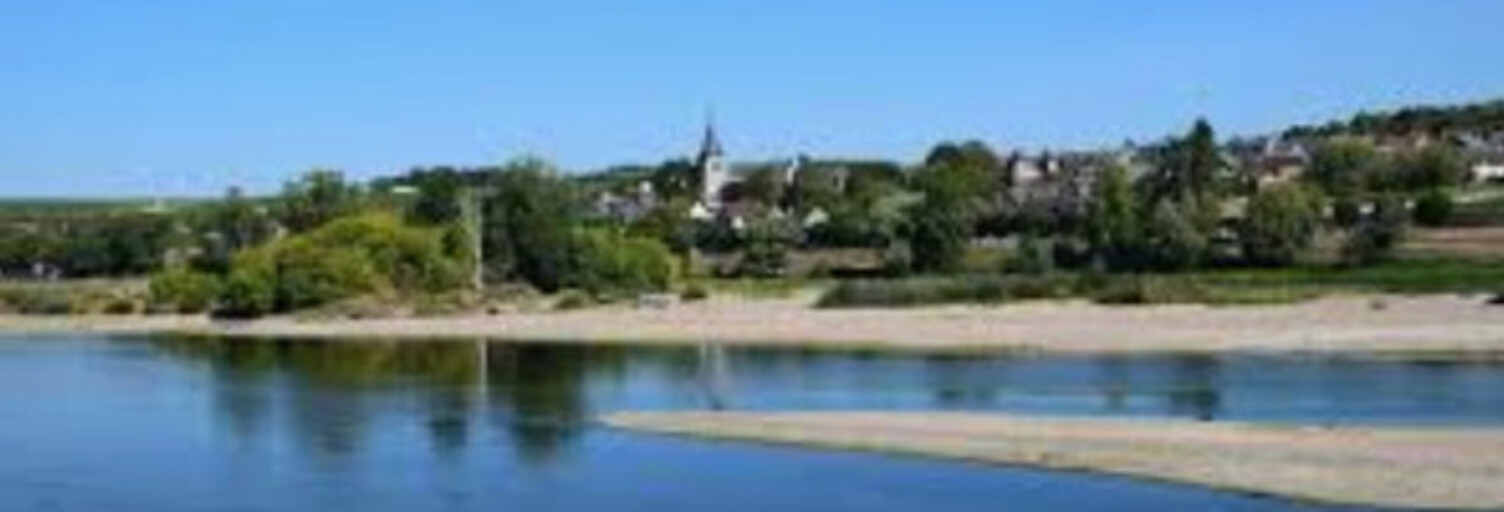 Maison 10 Pièces 200 m² à vendre à Pouilly-sur-Loire (58150)