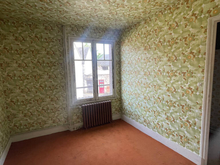 Immeuble / Maison de ville 240 m2 10 pièces POUILLY SUR LOIRE (58) proche NEVERS, La Charité-sur-Loire, Cosnes-Cours-sur-Loire — photo 1