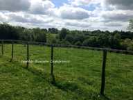 Terrain à bâtir hors lotissement - Annebault — photo 3