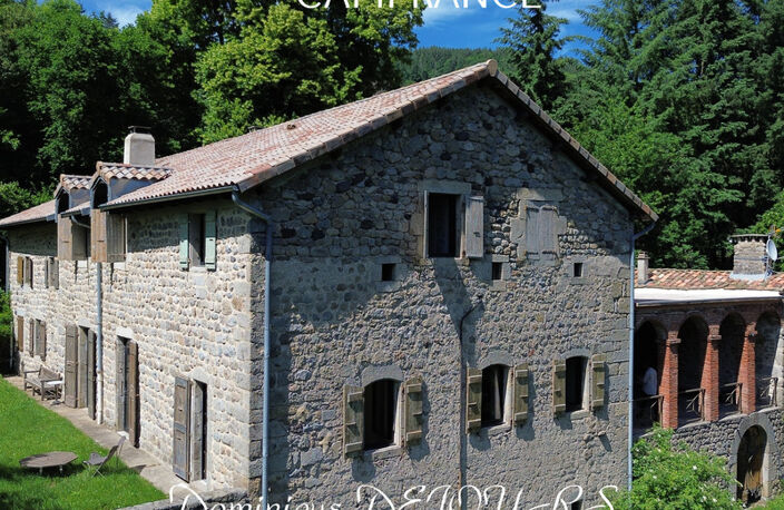 Grande maison bourgeoise de 400m² habitable et son parc de 9700m²au bord de la rivière La Glueyre — photo 4