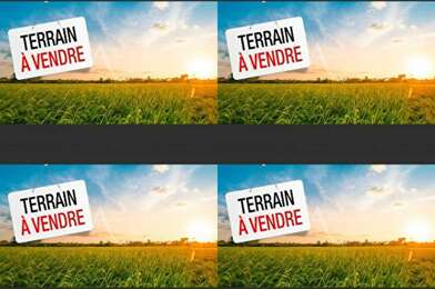 Terrain  65000 €