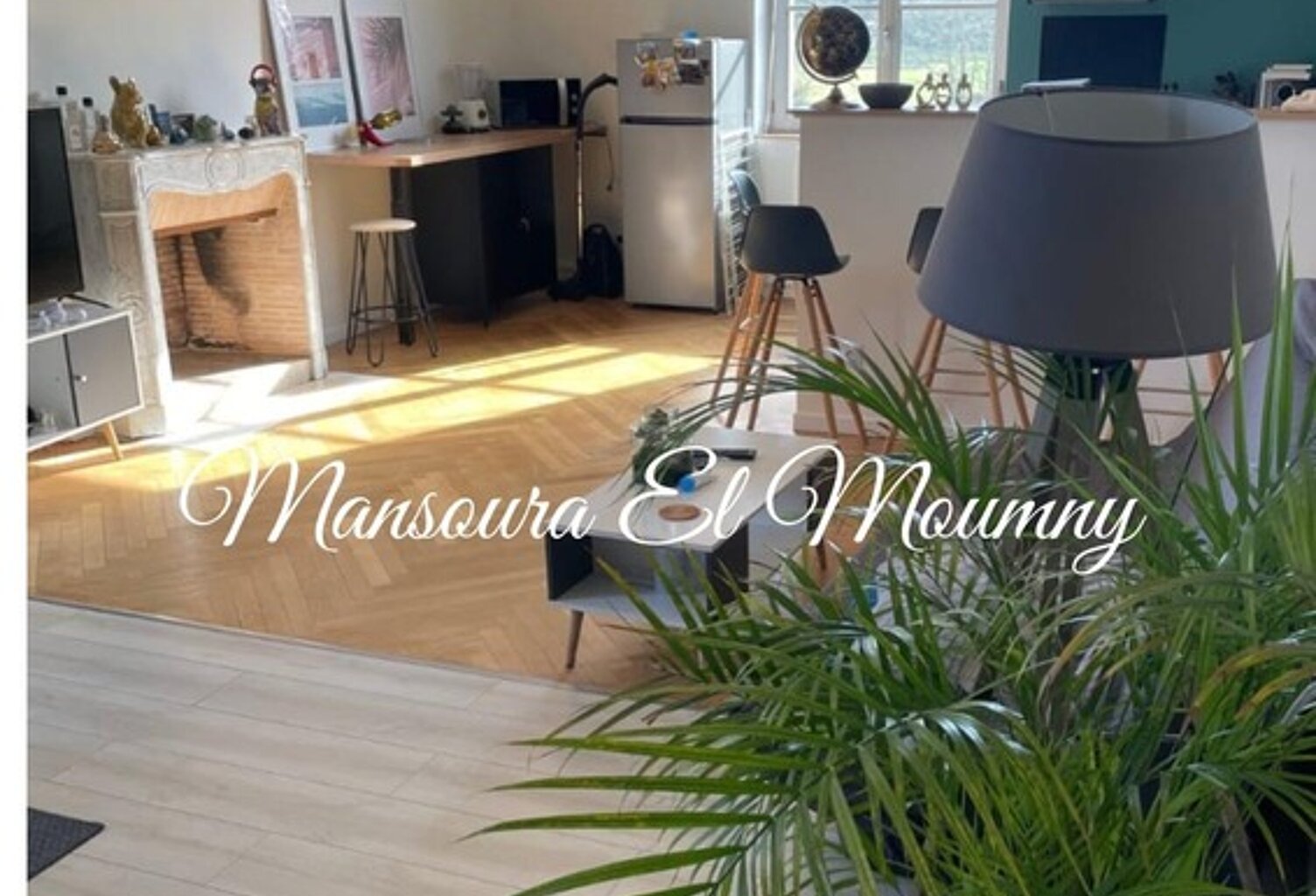 ✨ APPARTEMENT LUMINEUX DANS DEMEURE DE CARACTÈRE ✨ Savonnière  (37) — photo 1