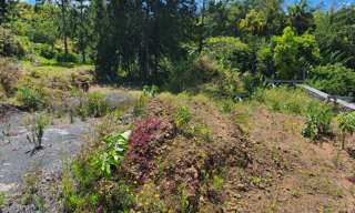 Terrain  600 m² à vendre à Petite-Île (97429)