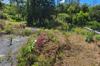 Terrain  89000 €