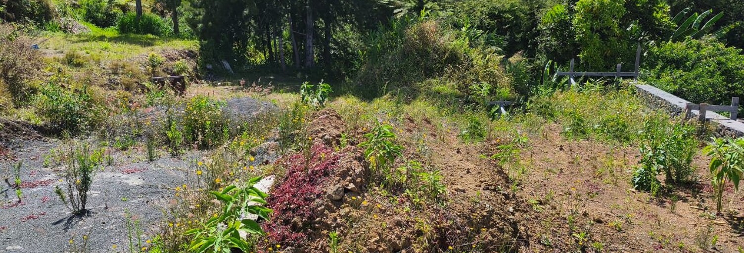 Terrain  600 m² à vendre à Petite-Île (97429)