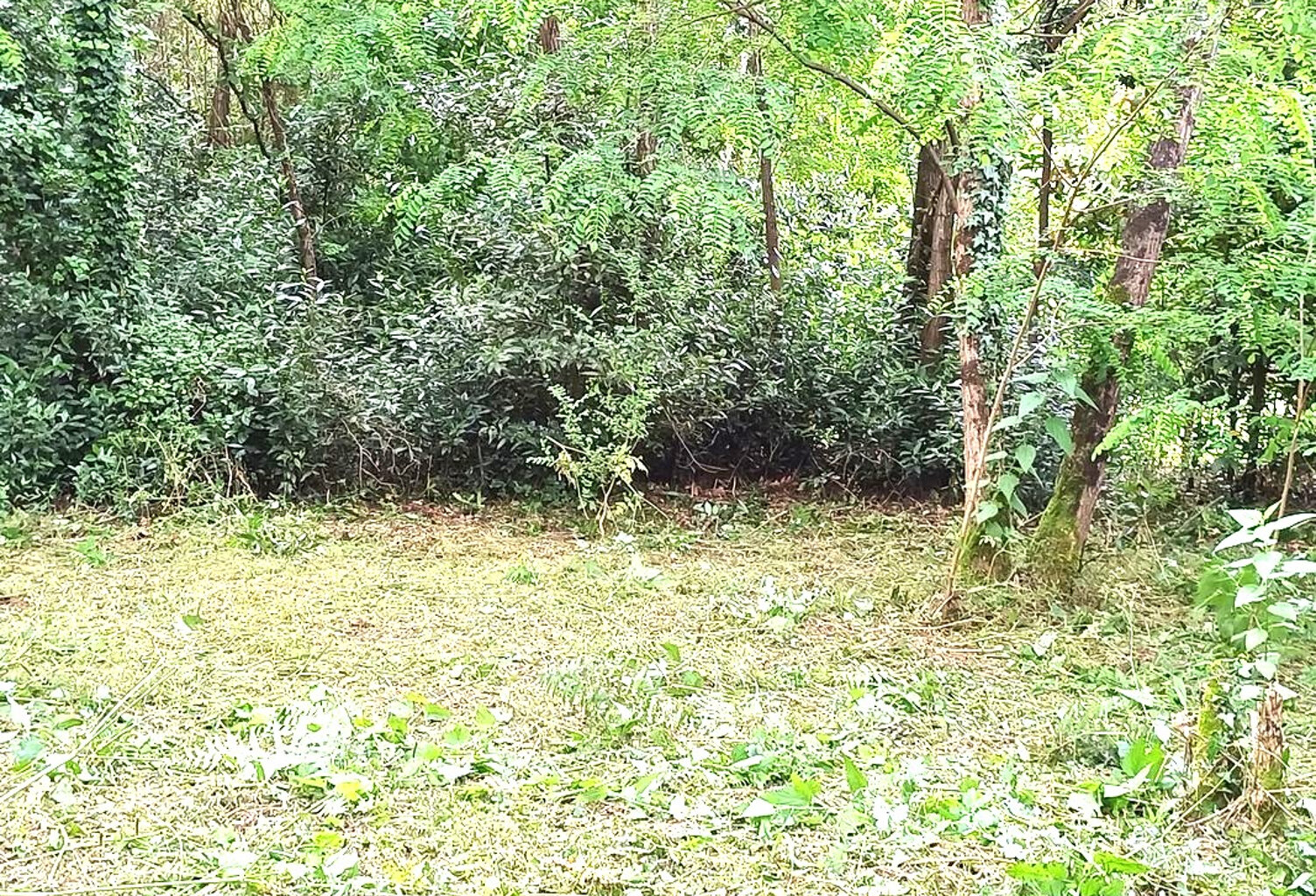 Terrain  558 m2 — photo 1