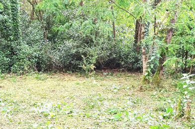Terrain  228900 €