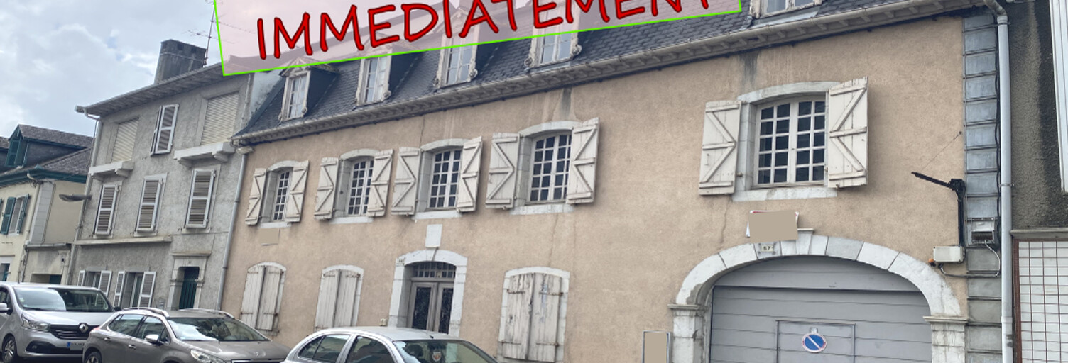 Maison 300 m² en viager Mauléon-Licharre (64130)