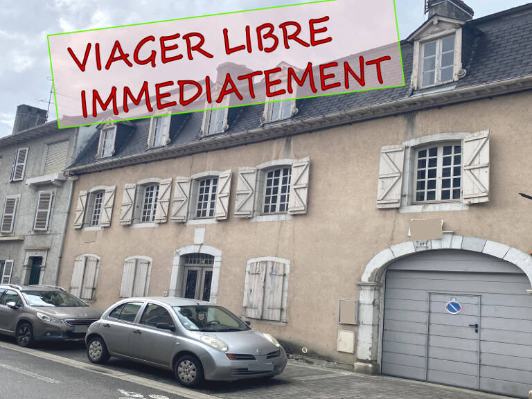 Maison bourgeoise de 300 m² en VIAGER LIBRE — photo 1