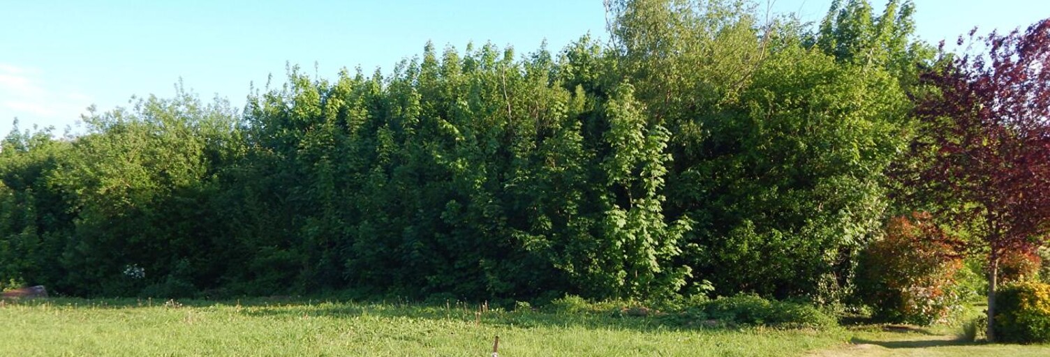 Terrain  7113 m² à vendre à Pont-Remy (80580)