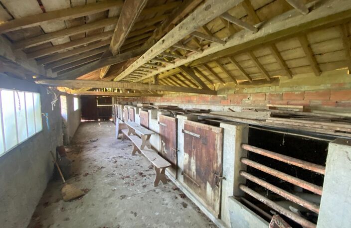 Ancien ferme avec vue imprenable sur les Pyrénées — photo 5