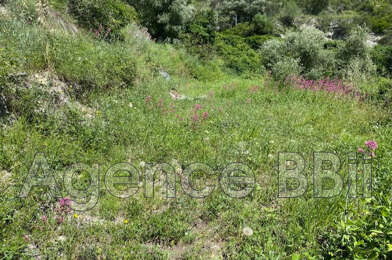 Terrain  2420000 €