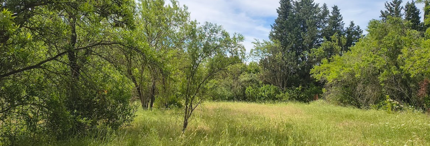 Terrain 1495 m² à construire Carpentras (84200)