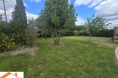 Terrain  60000 €