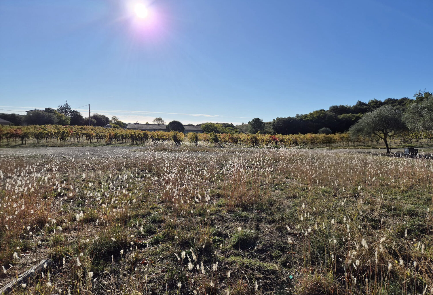 terrain constructible non viabilisé de 471 m2 — photo 1
