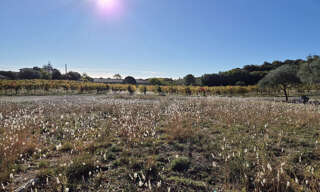 Terrain  471 m² à vendre à Cabrerolles (34480)