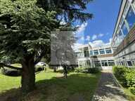 BUREAUX à LOUER — photo 4